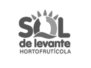 Sol de Levante logo